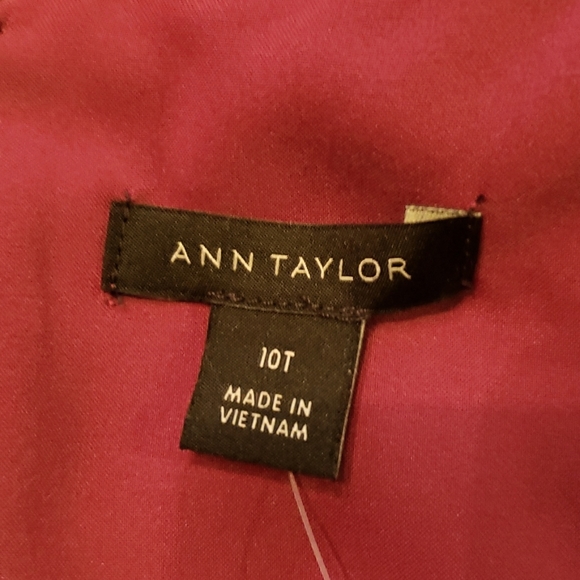 Ann Taylor Sleeveless Shift Dress - Picture 7 of 7
